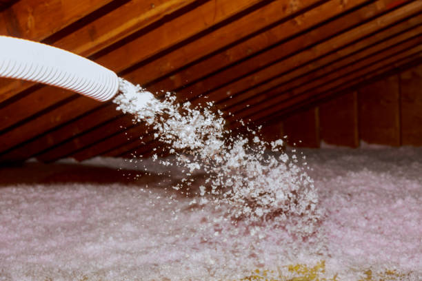 Best Spray Foam Insulation in Clarence, IA
