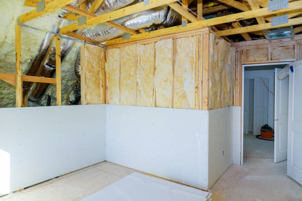 Best DIY Insulation Kits and Guidance in Clarence, IA