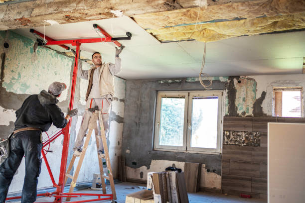 Best Specialized Insulation Services in Clarence, IA