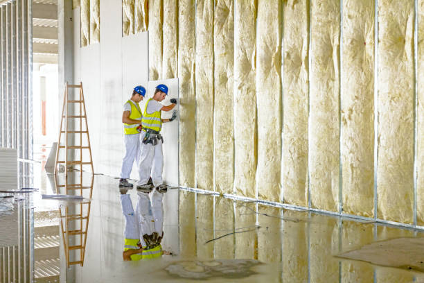 Best Cellulose Insulation in Clarence, IA